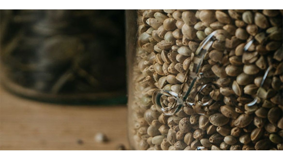 Graines de chanvre & valeurs nutritionnelles